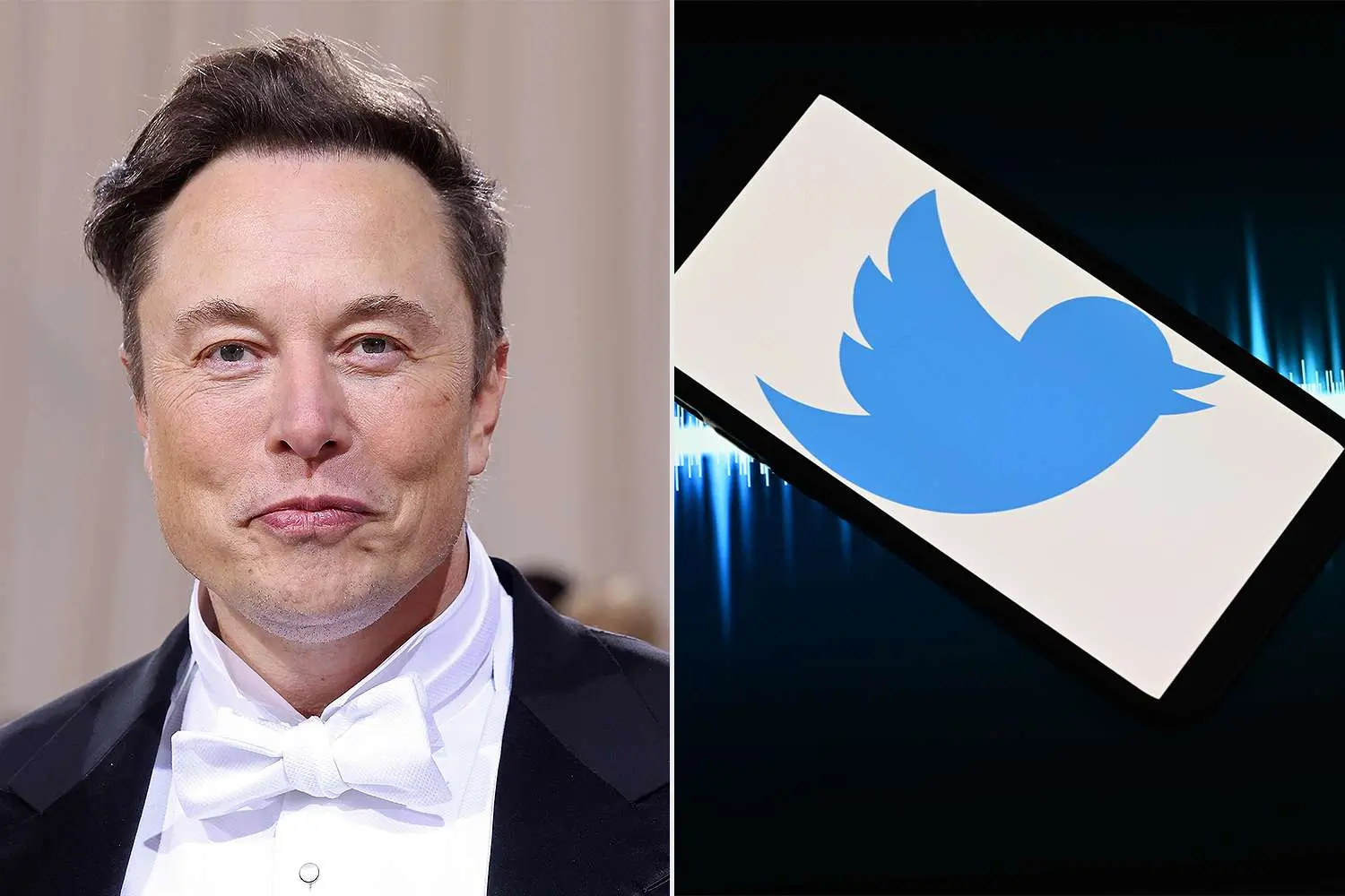 Twitter vai perder o logotipo do pássaro em revisão de marca, diz Elon Musk