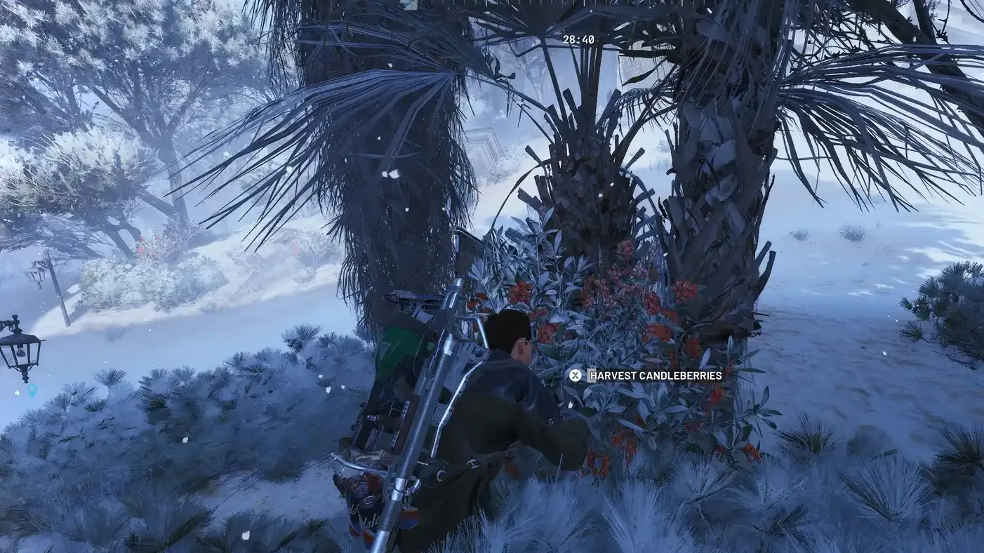 Best Candleberry Locations in ARC Raiders (Easy Farm)