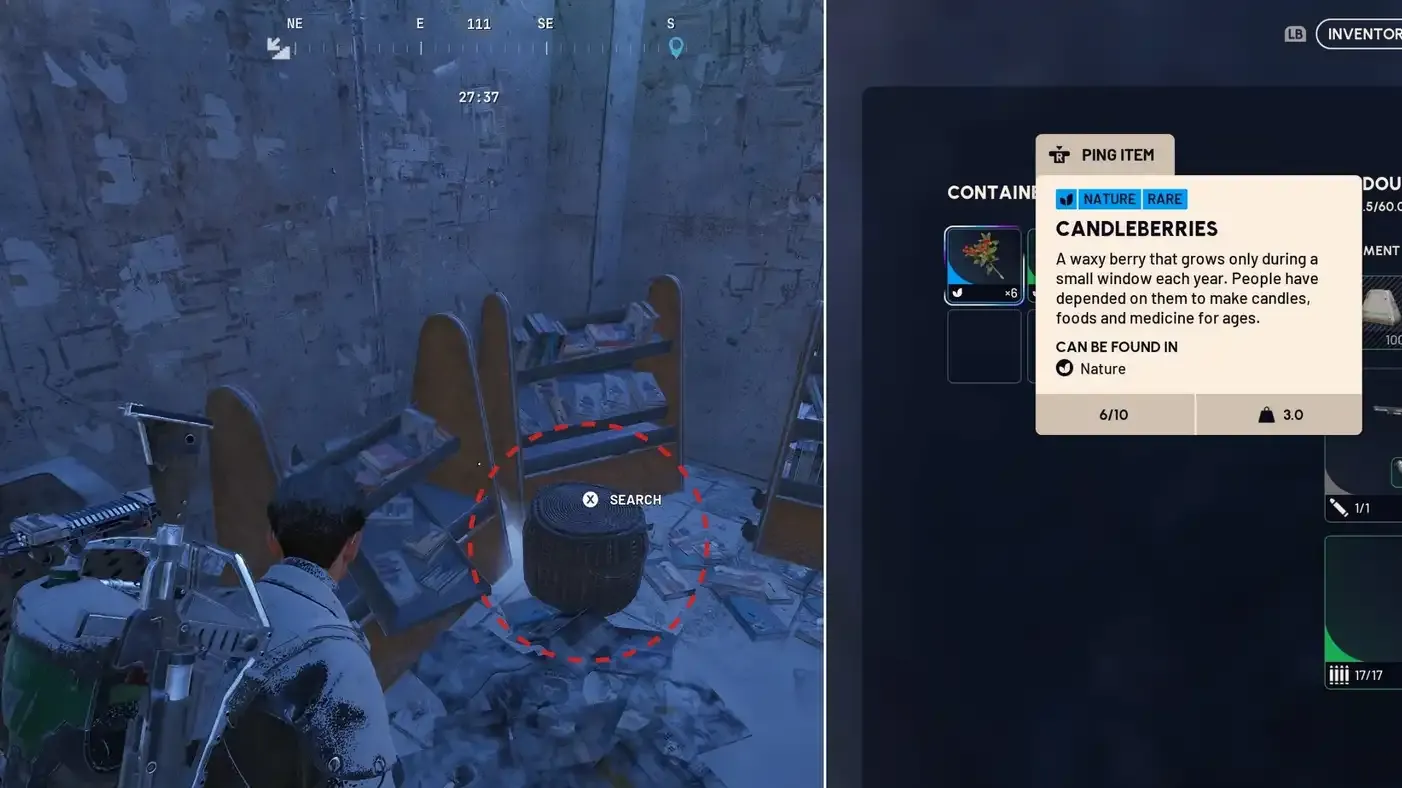 Best Candleberry Locations in ARC Raiders (Easy Farm)