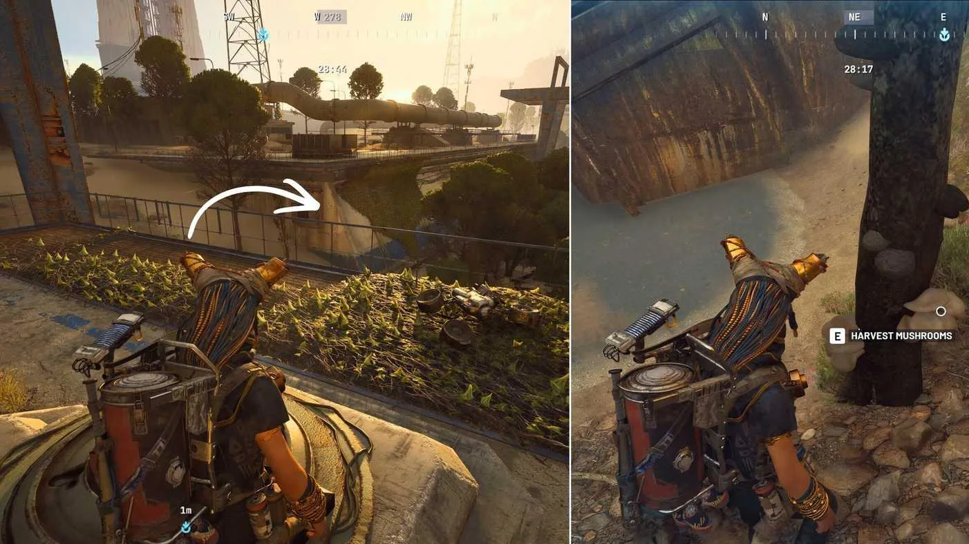 Best Mushroom Locations in Arc Raiders