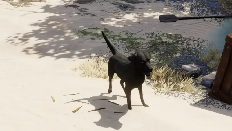 Divinity Original Sin 2:  para Encontrar Emmie e a Chave do Buddy