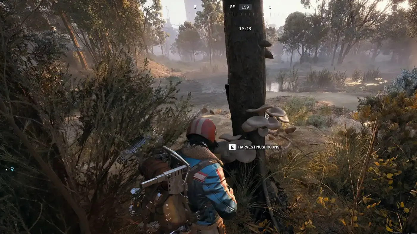 Where to find mushrooms in Arc Raiders