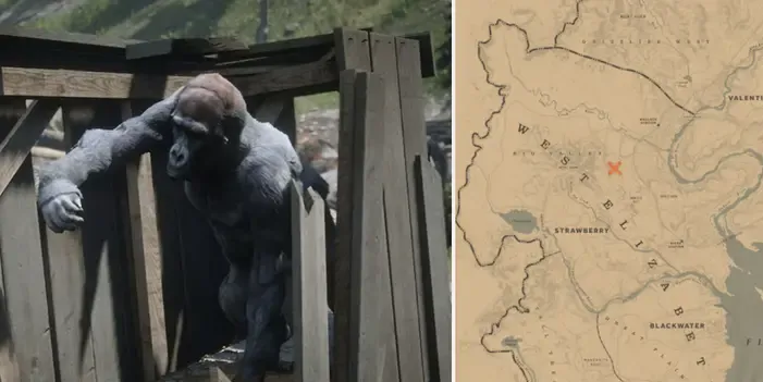 How To Find These Incredible Hidden Locations And Weapons In RDR2