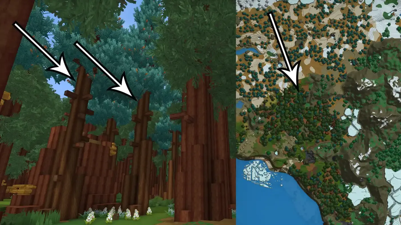 How to get darkwood in Hytale