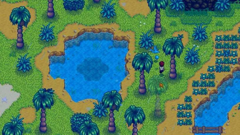 Stardew Valley: Gem Bird Walkthrough