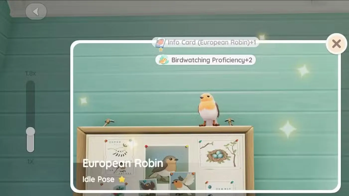 Where to Find the Woodchat Shrike in Heartopia
