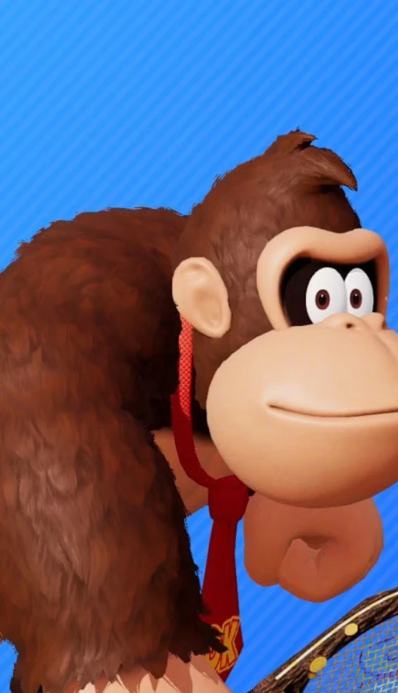 All characters and color variations in Mario Tennis Fever