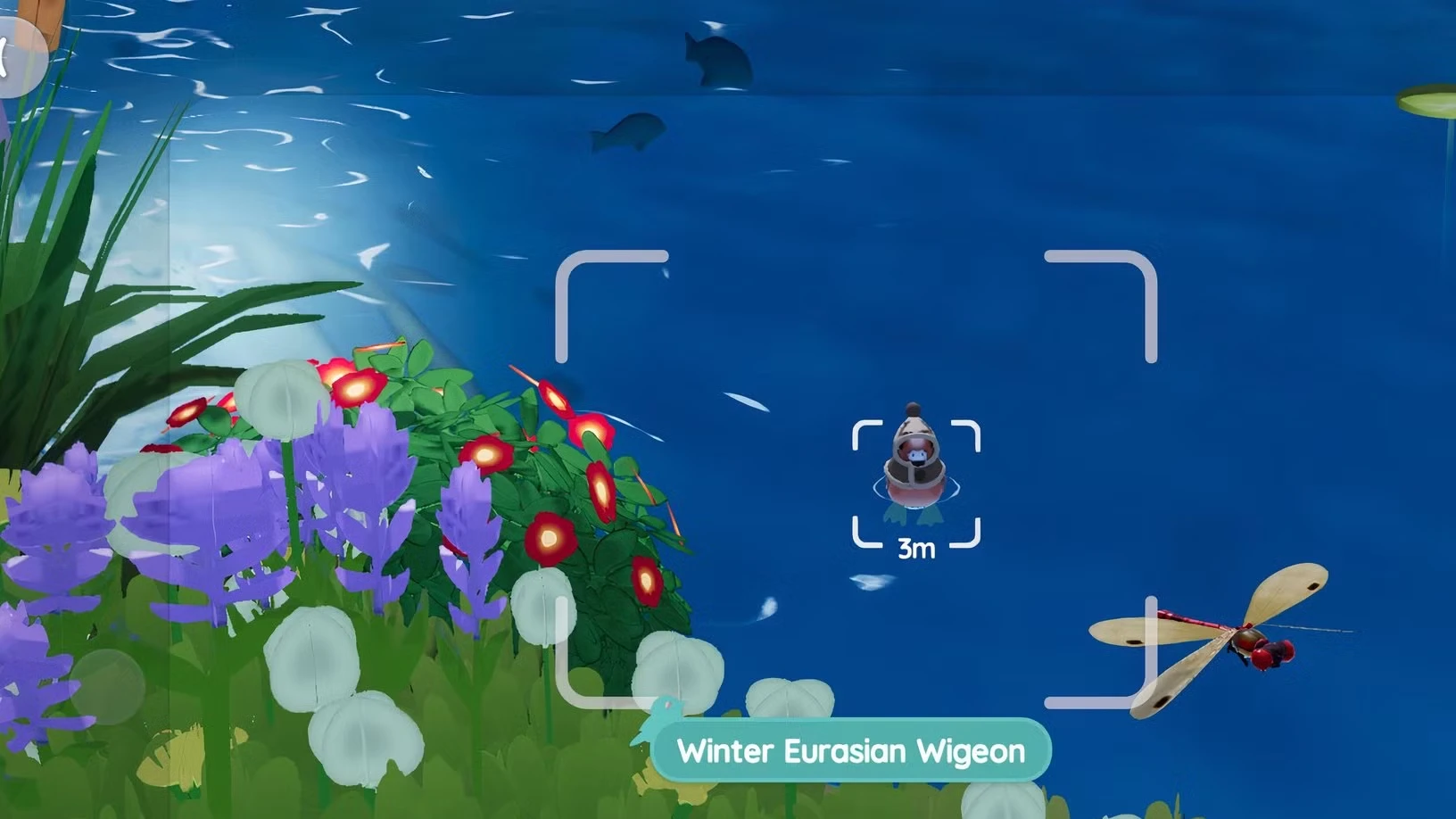 All Winter Bird Locations in Heartopia