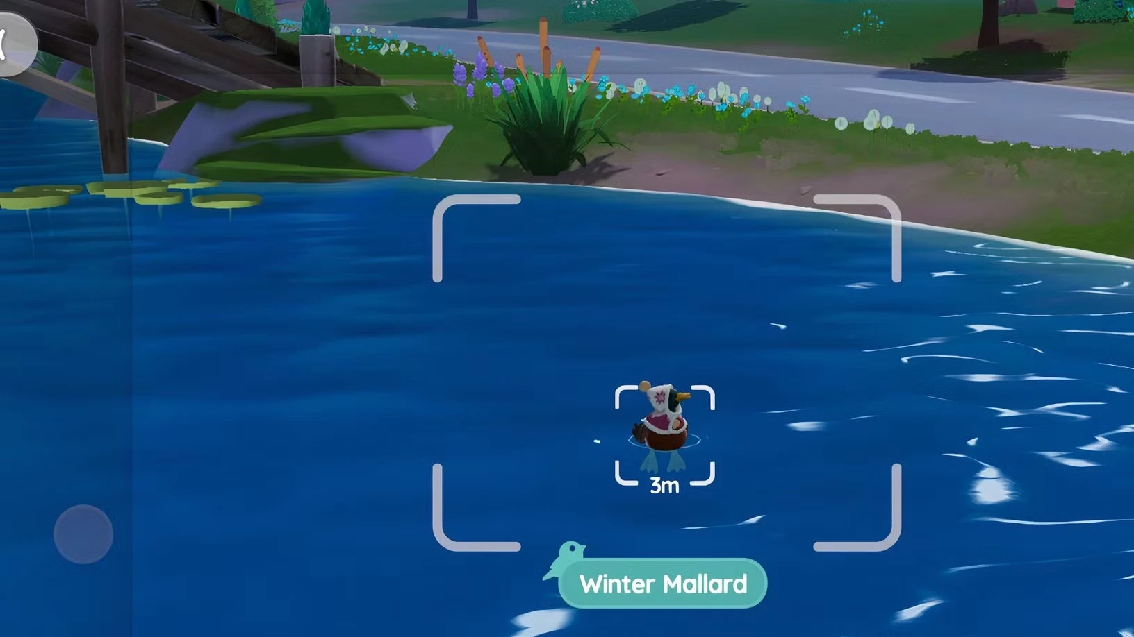 All Winter Bird Locations in Heartopia