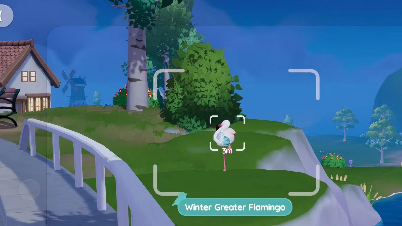 All Winter Bird Locations in Heartopia