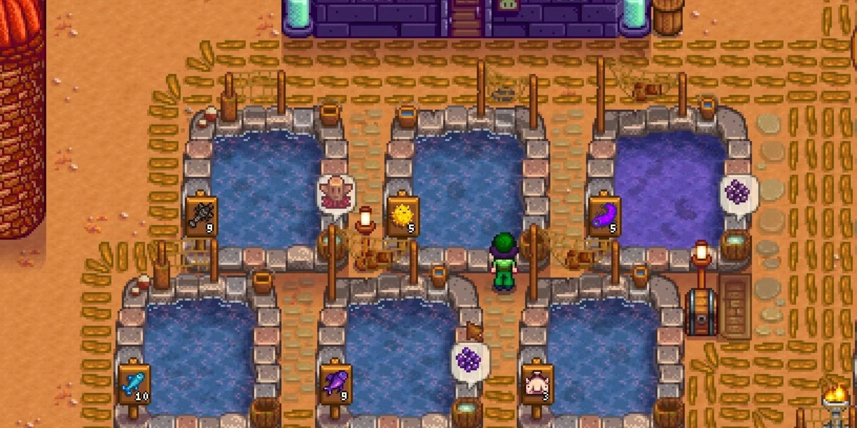 Best Fish Pond Fish In Stardew Valley