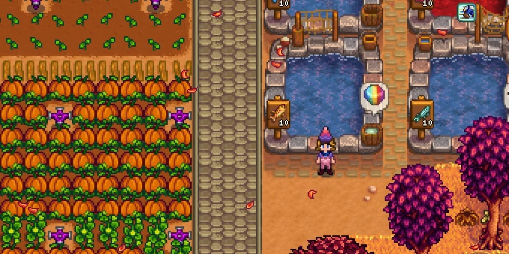 Best Fish Pond Fish In Stardew Valley
