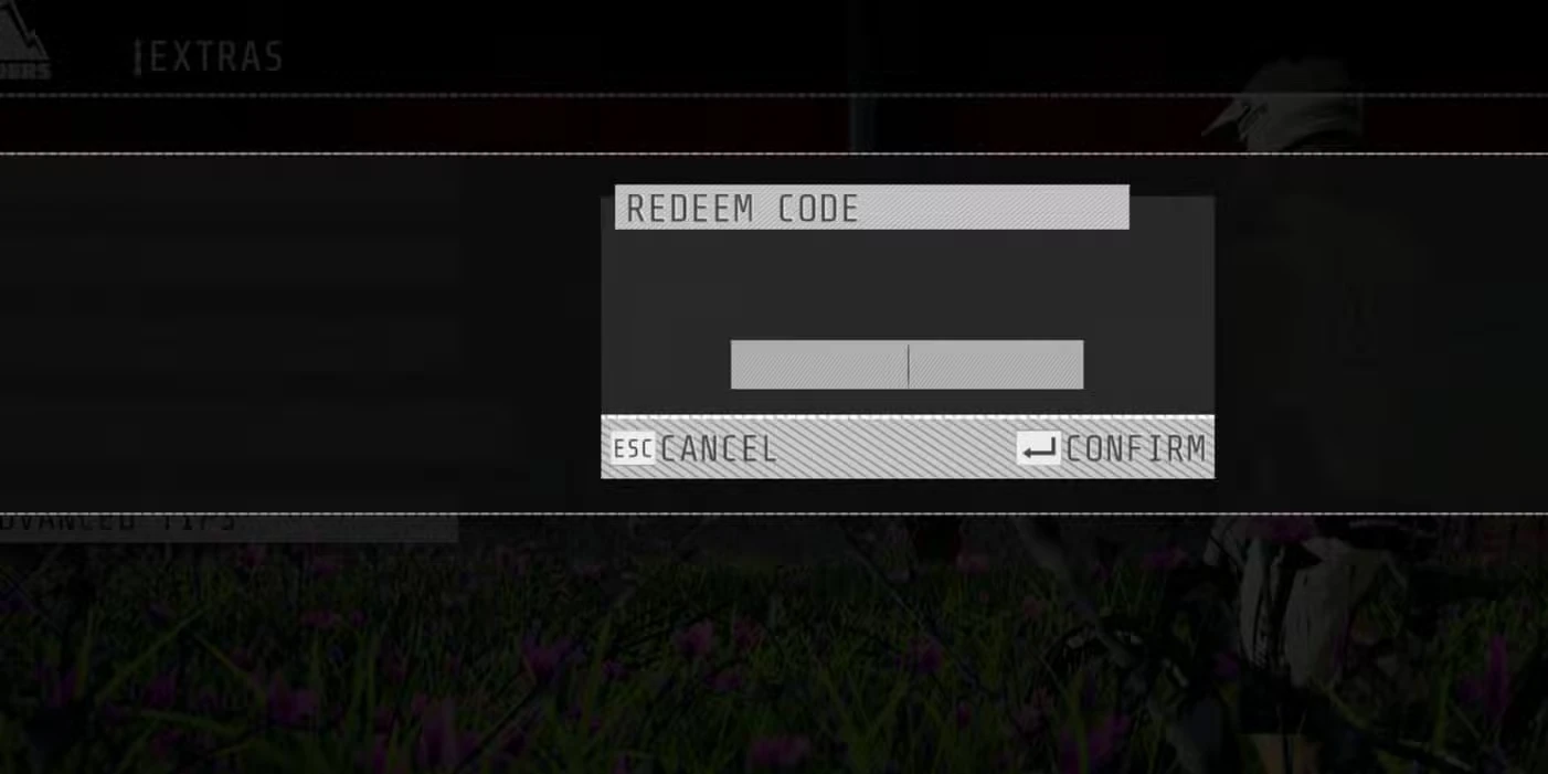 Descenders Codes