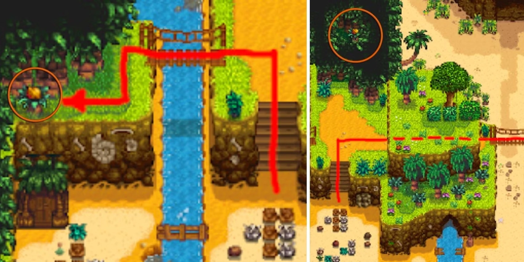 Every Golden Walnut Location In Stardew Valley