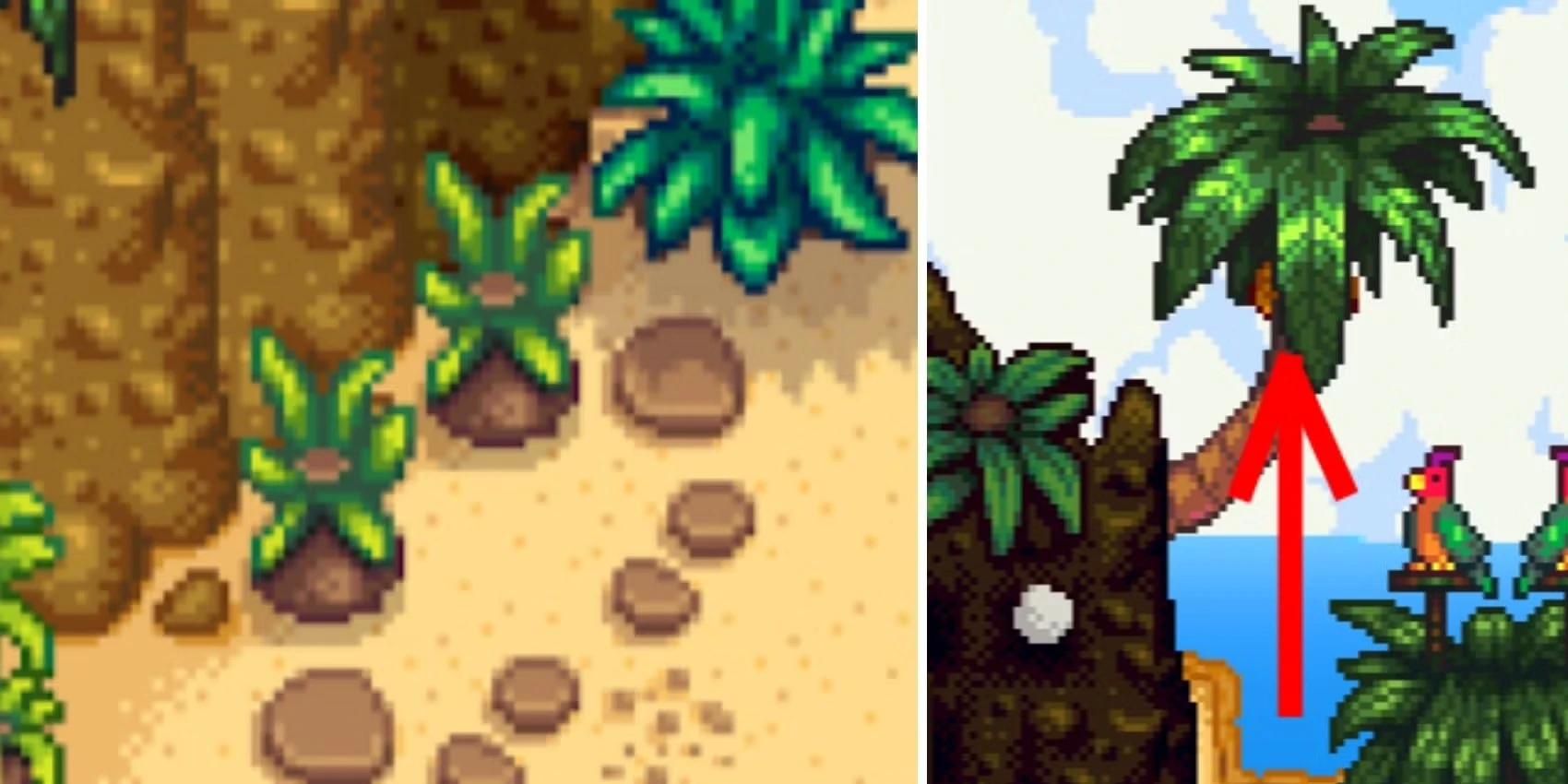 Every Golden Walnut Location In Stardew Valley