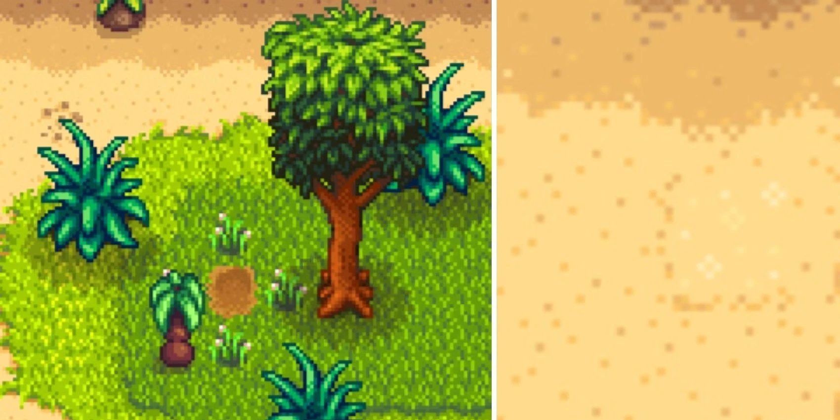 Every Golden Walnut Location In Stardew Valley
