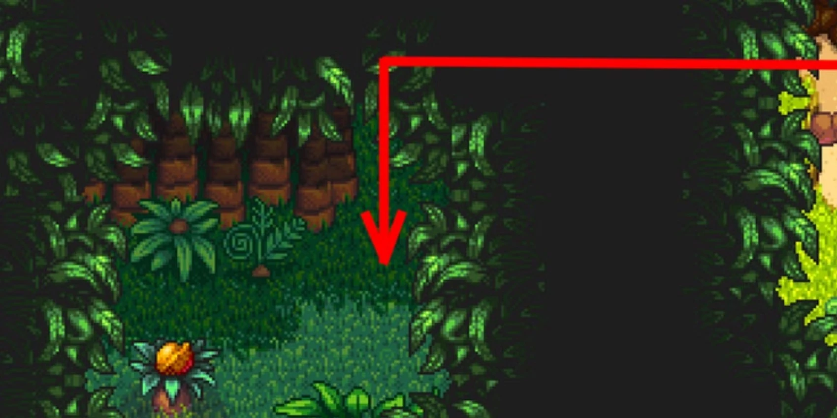 Every Golden Walnut Location In Stardew Valley