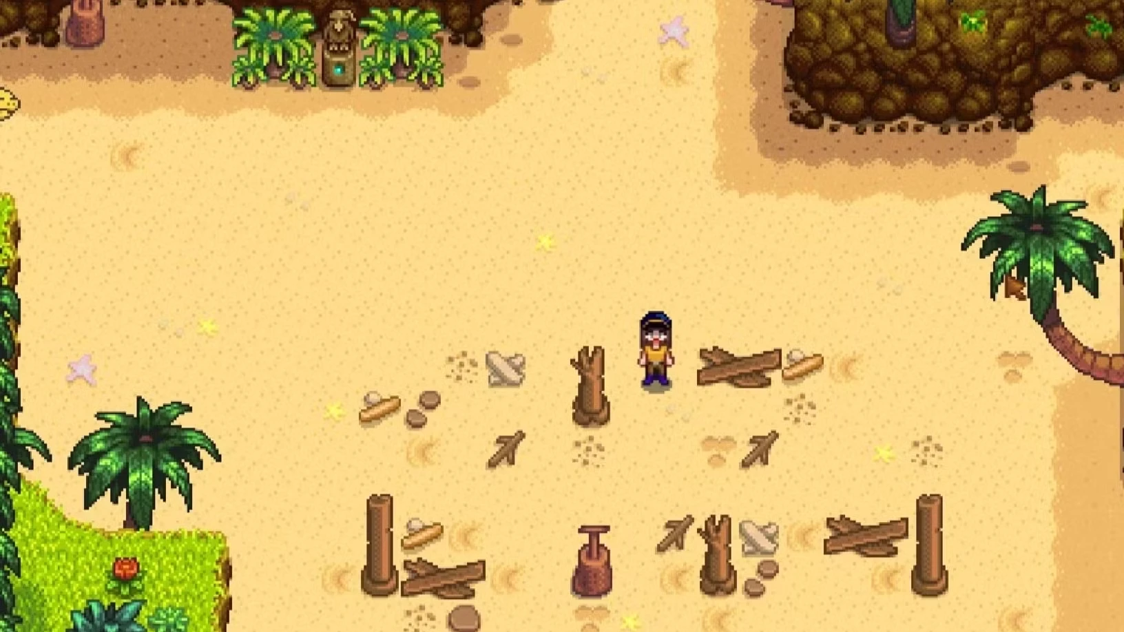 Every Golden Walnut Location In Stardew Valley