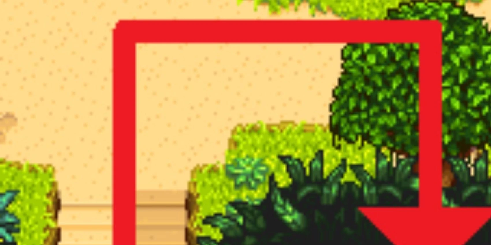 Every Golden Walnut Location In Stardew Valley