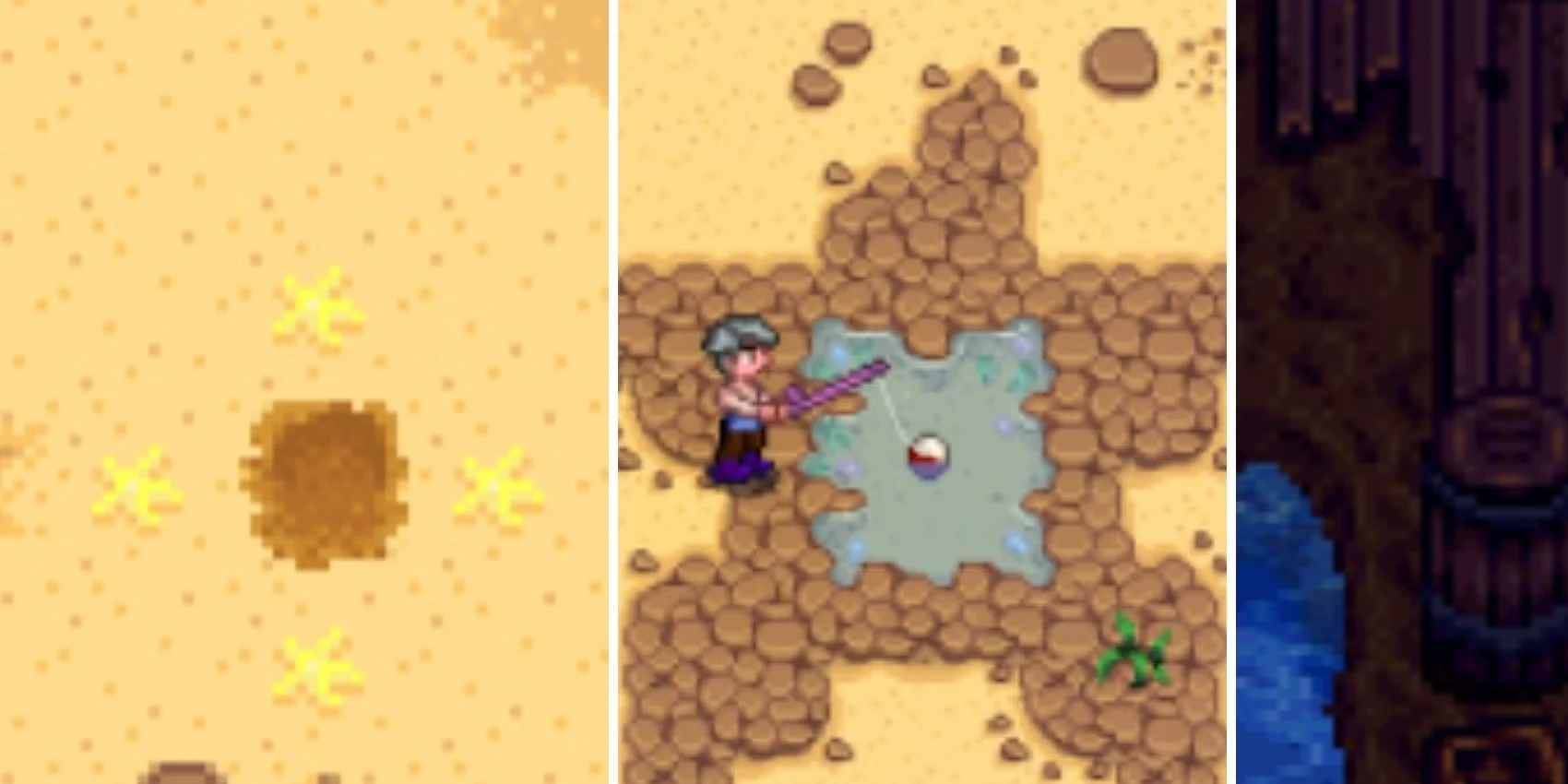 Every Golden Walnut Location In Stardew Valley