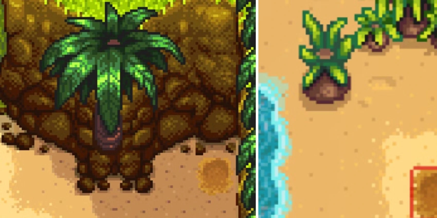 Every Golden Walnut Location In Stardew Valley