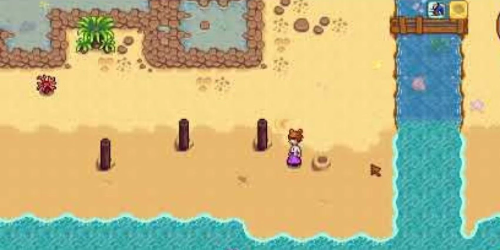 Every Golden Walnut Location In Stardew Valley