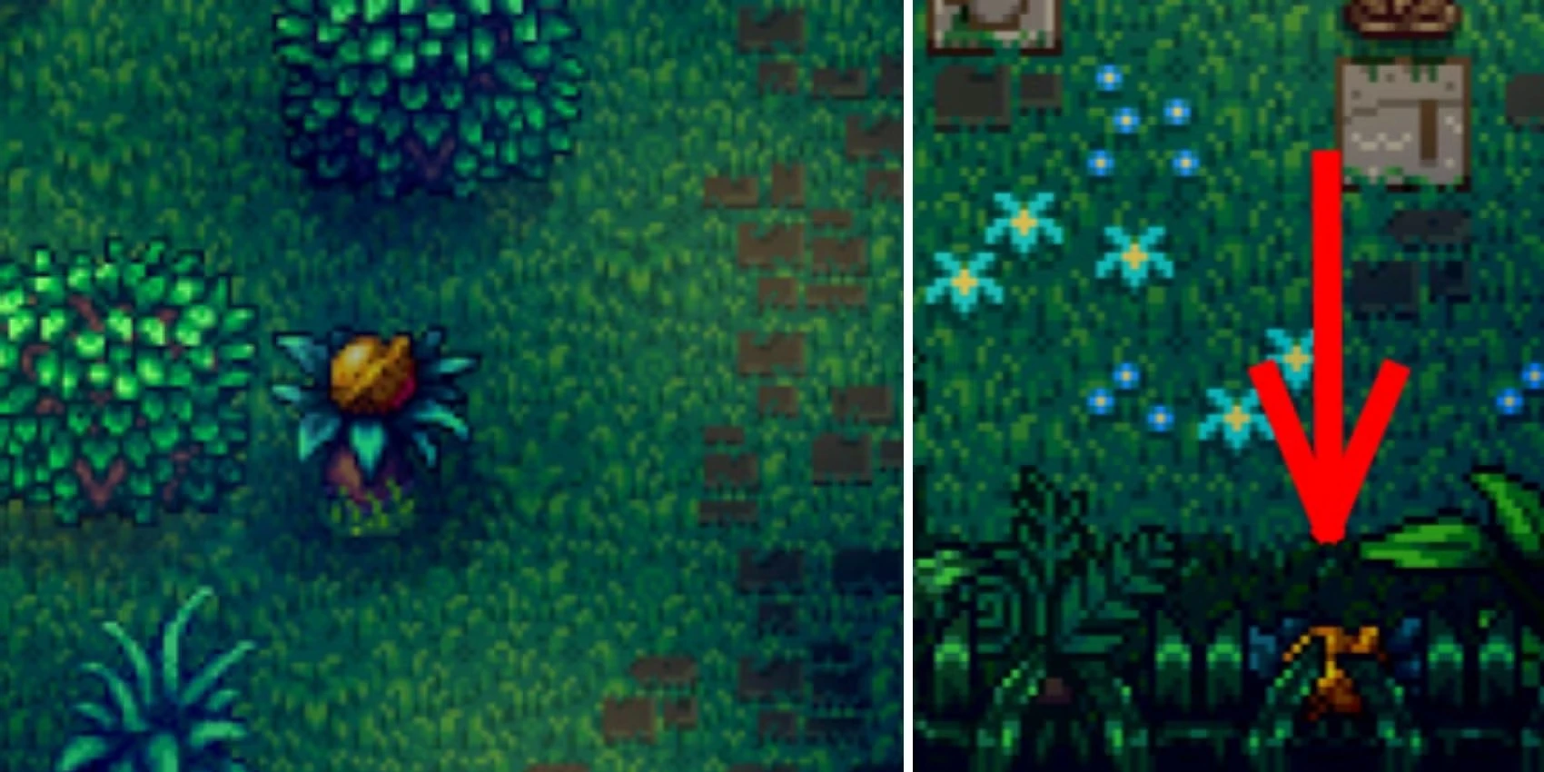 Every Golden Walnut Location In Stardew Valley