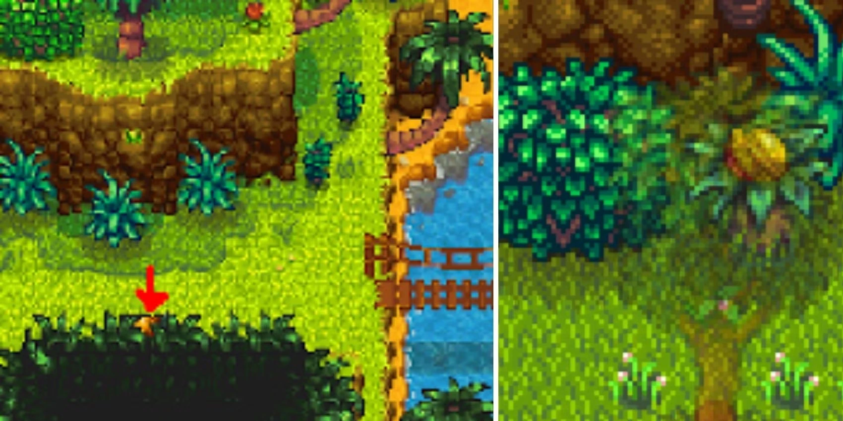 Every Golden Walnut Location In Stardew Valley