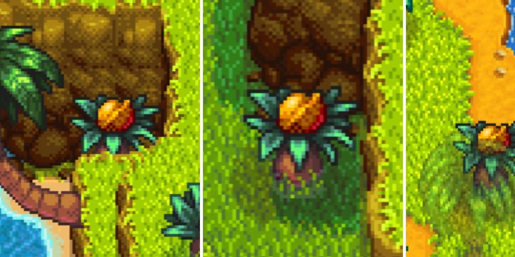 Every Golden Walnut Location In Stardew Valley