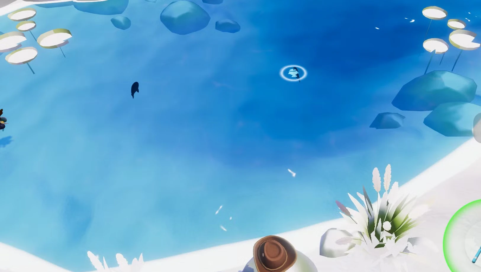 Fish locations in Heartopia