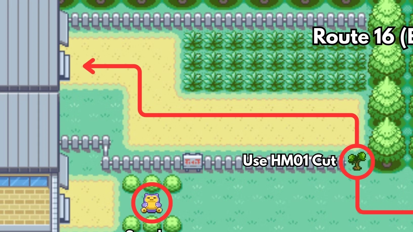 HM02 Fly Location in Pokemon FireRed & LeafGreen