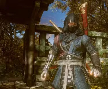 How to Choose Correct Gesture for Nurikabe