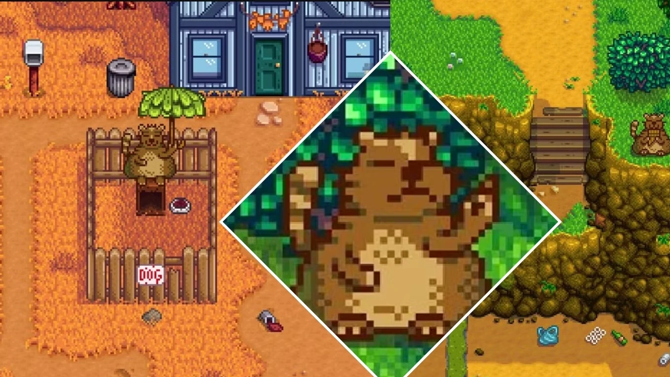 How To Complete Trash Bear's Quests Tasks In Stardew Valley