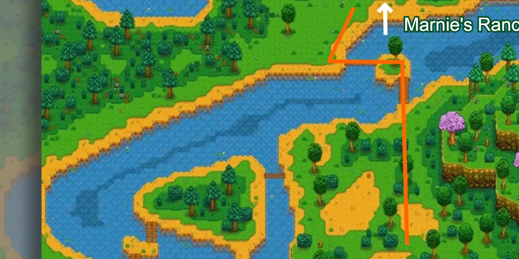 How To Complete Trash Bear's Quests Tasks In Stardew Valley