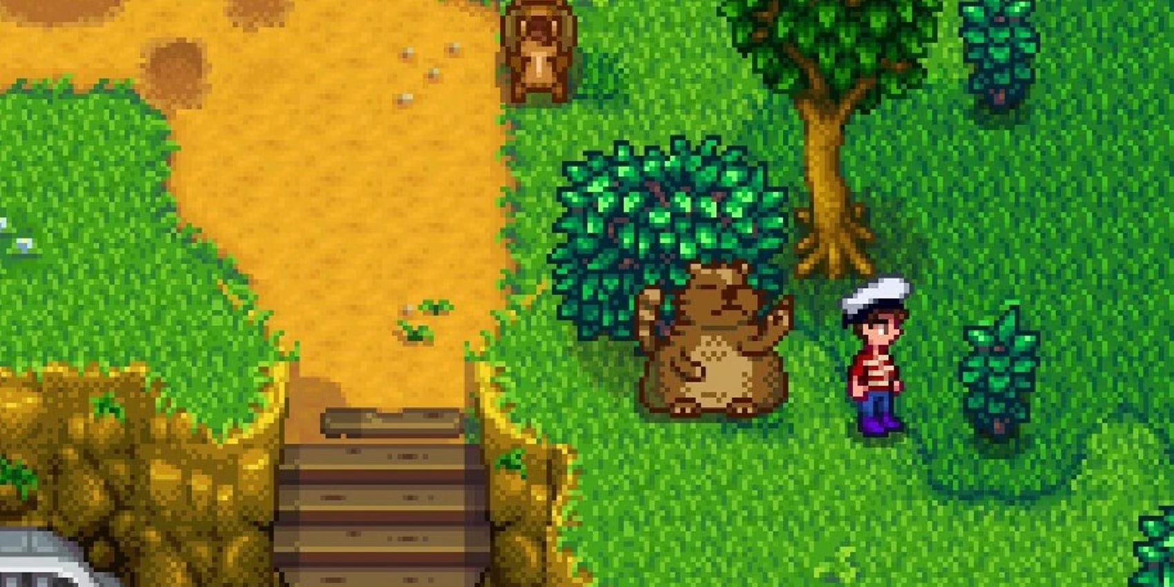 How To Complete Trash Bear's Quests Tasks In Stardew Valley