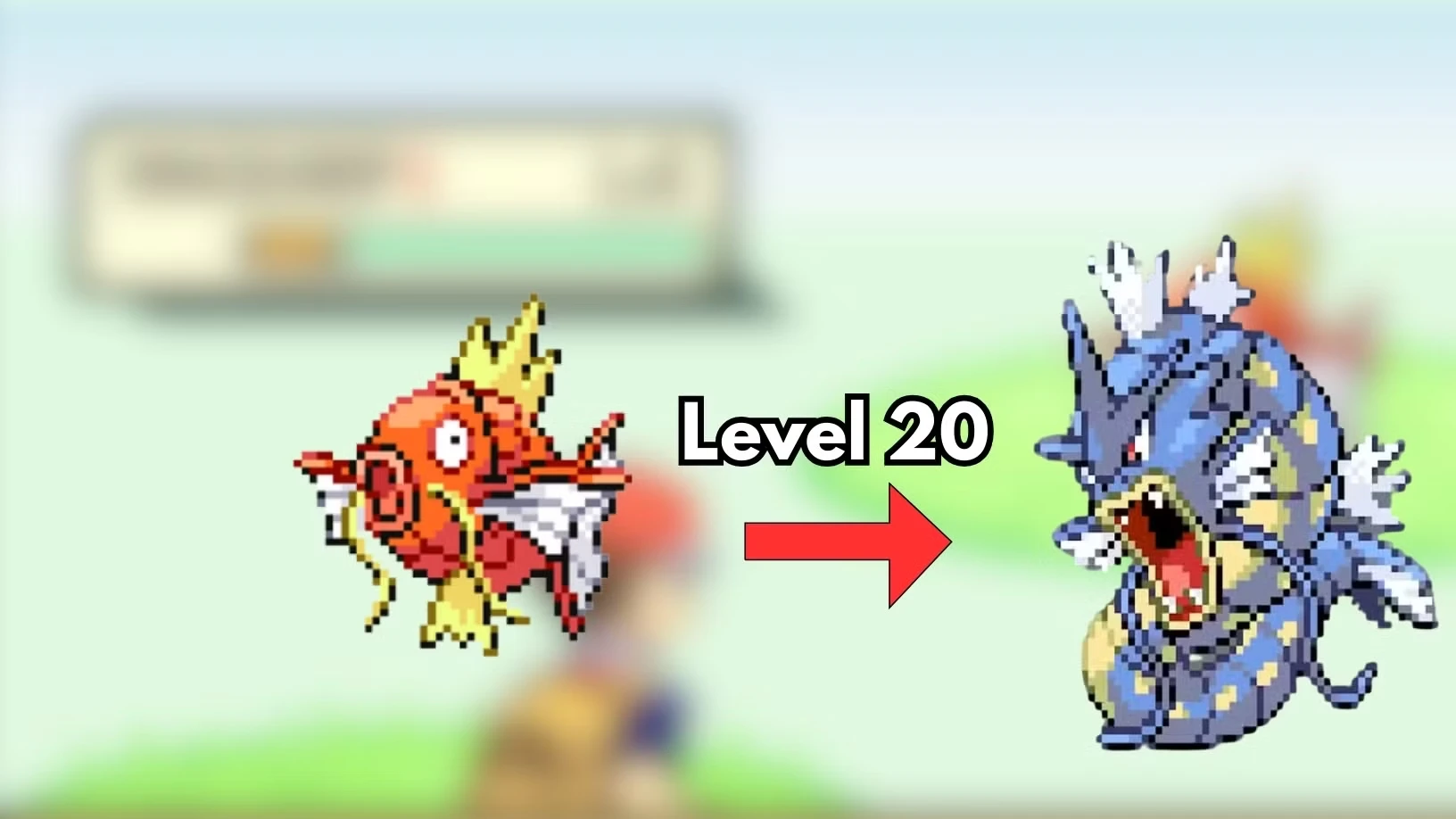 How to Evolve Magikarp into Gyarados in Pokemon FireRed & LeafGreen