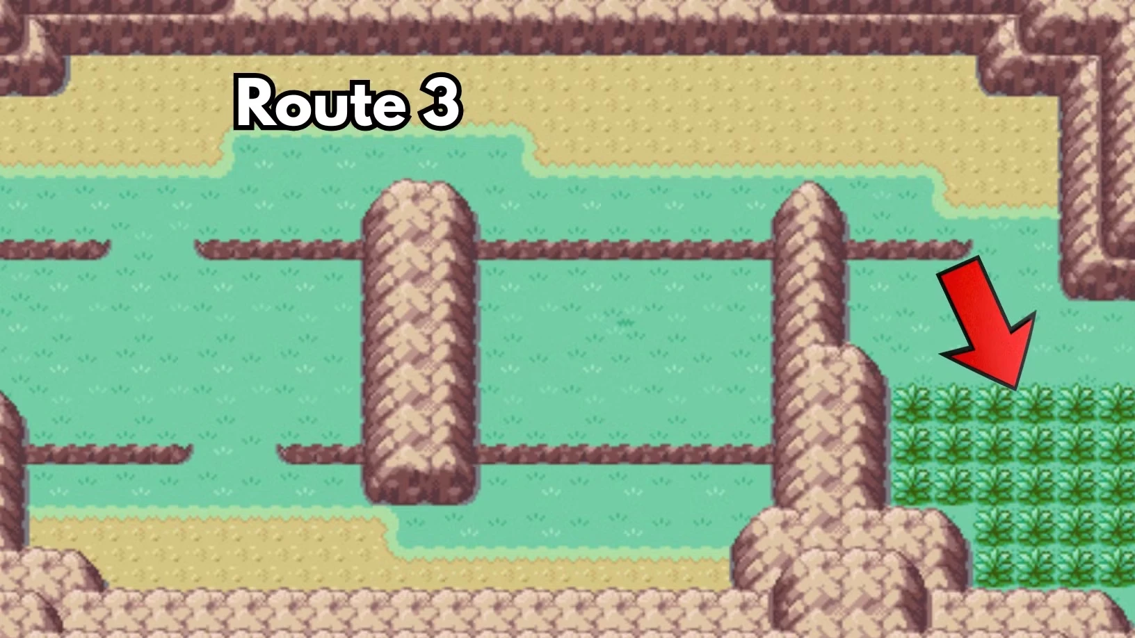 How to Get & Evolve Nidoran in Pokemon FireRed & LeafGreen