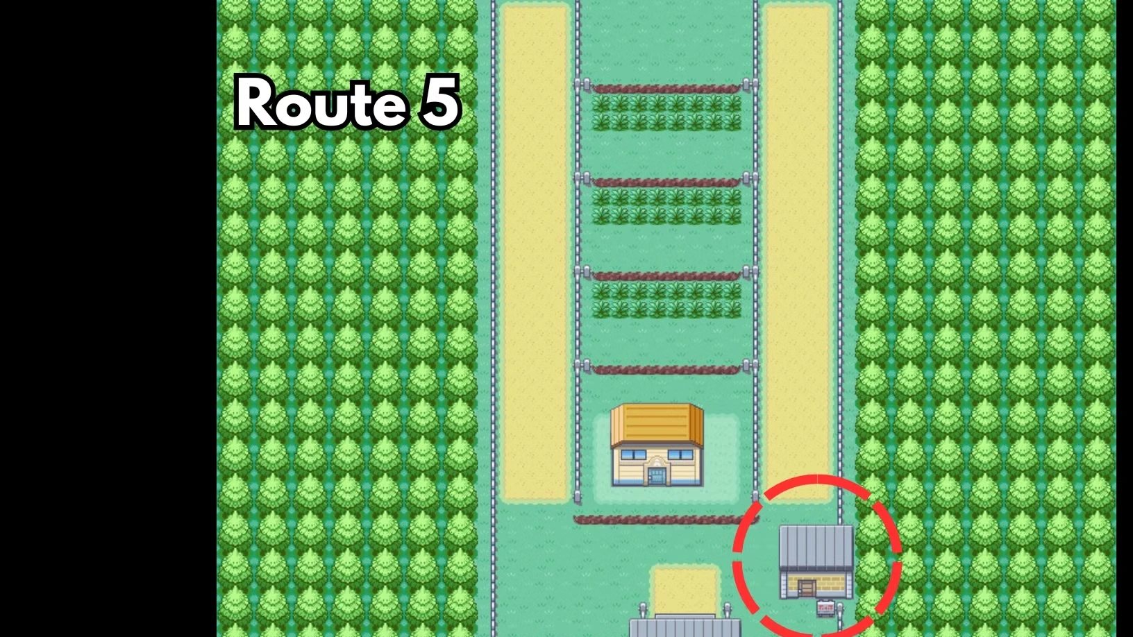 How to Get & Evolve Nidoran in Pokemon FireRed & LeafGreen
