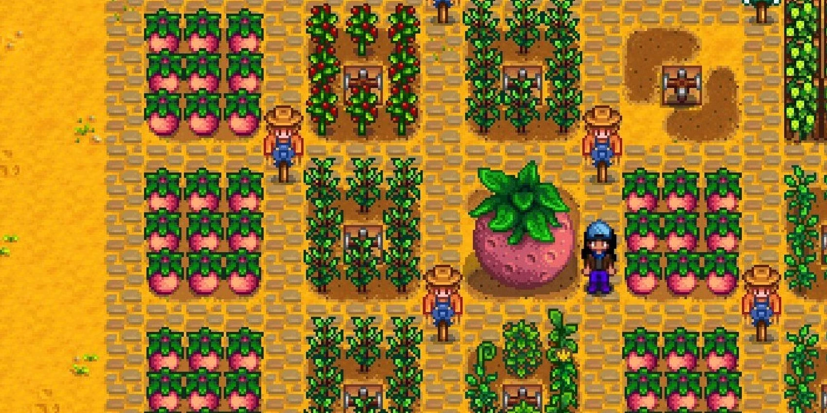 How To Make Money In Stardew Valley