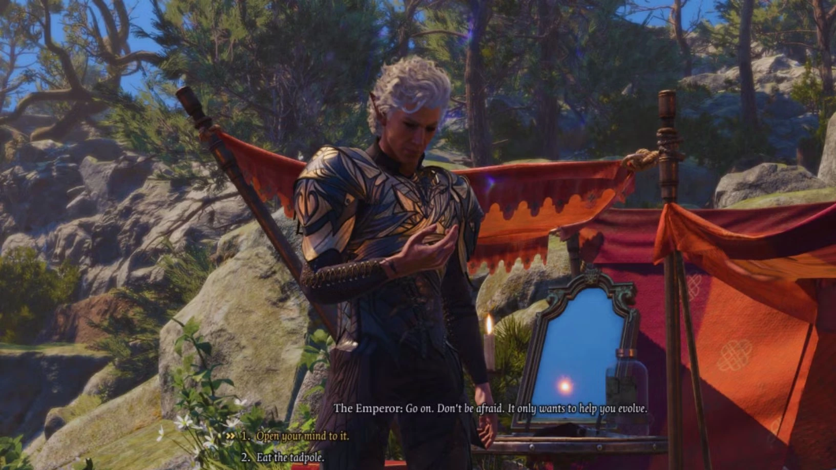 Should You Use The Astral-Touched Tadpole To Become Half-Illithid Or Not In Baldur's Gate 3?