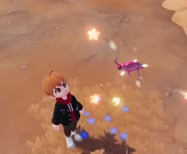 Waroona Cuckoo Bee Location in Heartopia