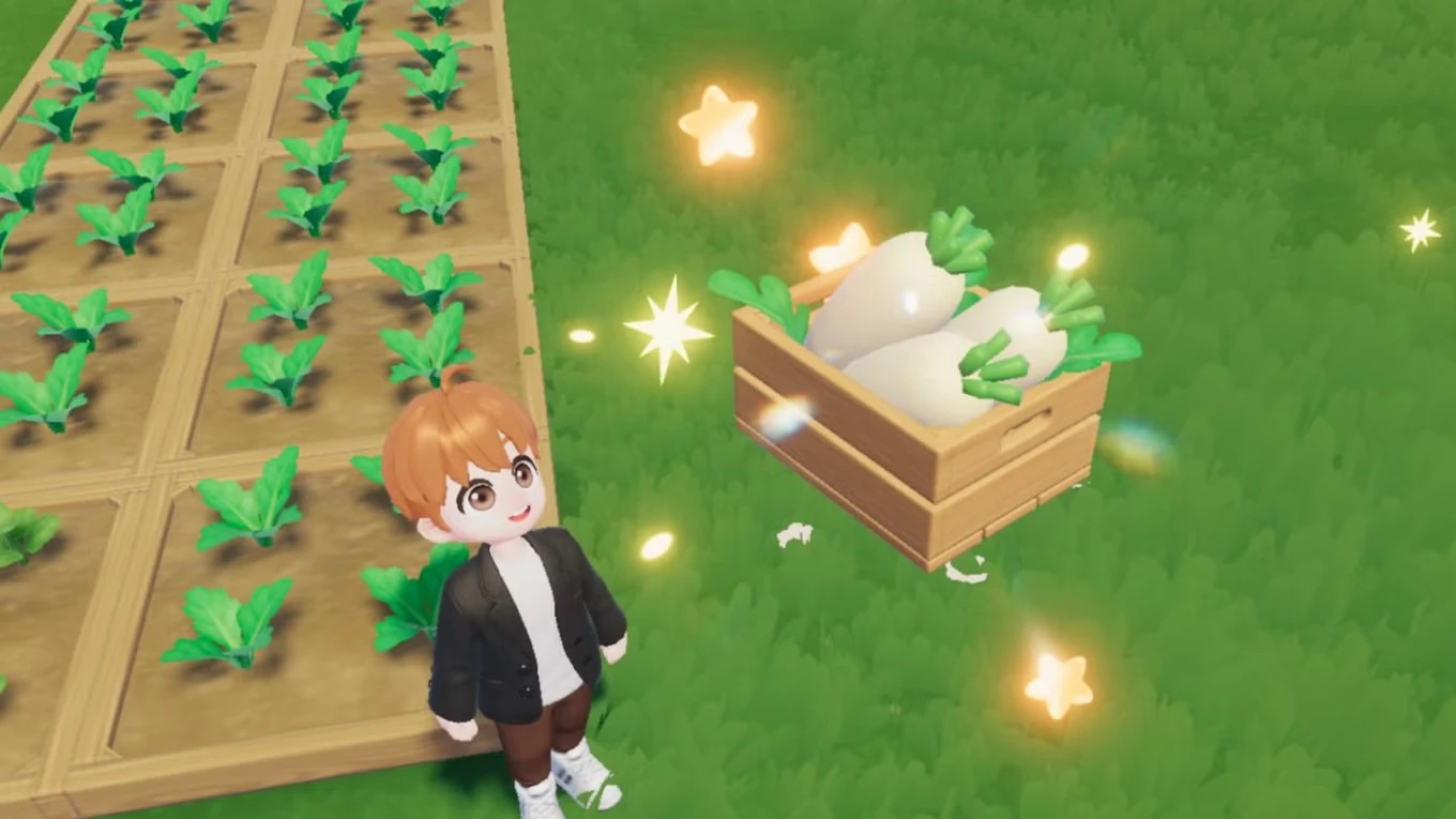 Where to Buy White Radish Seeds in Heartopia