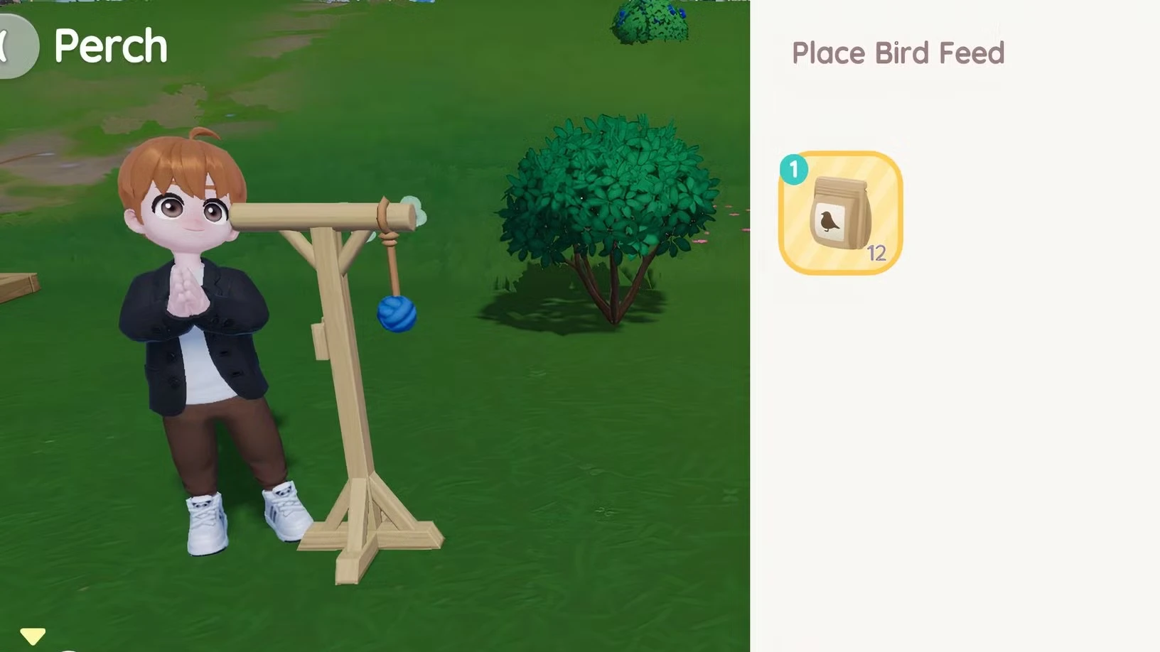 Where to Find Bird Feed in Heartopia