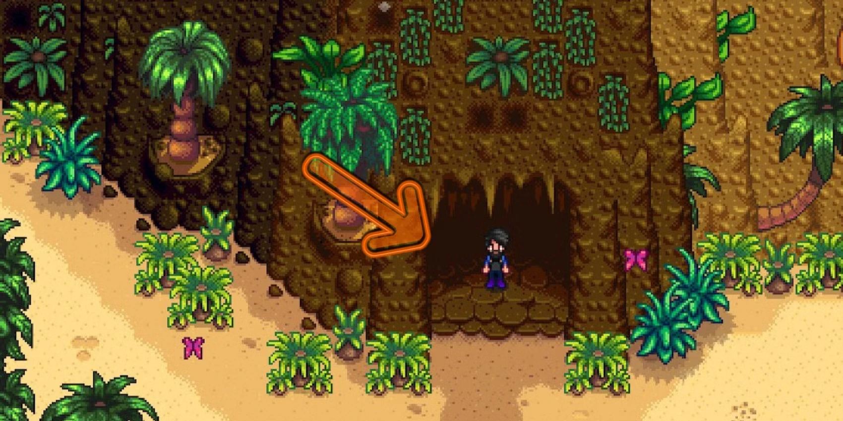 Where To Find Every Ginger Island Fossil In Stardew Valley