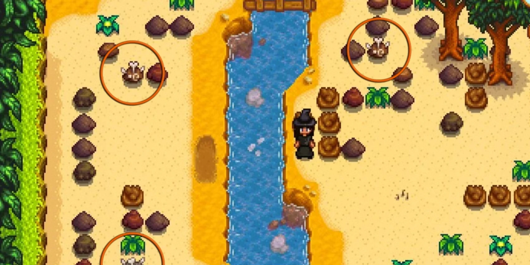 Where To Find Every Ginger Island Fossil In Stardew Valley
