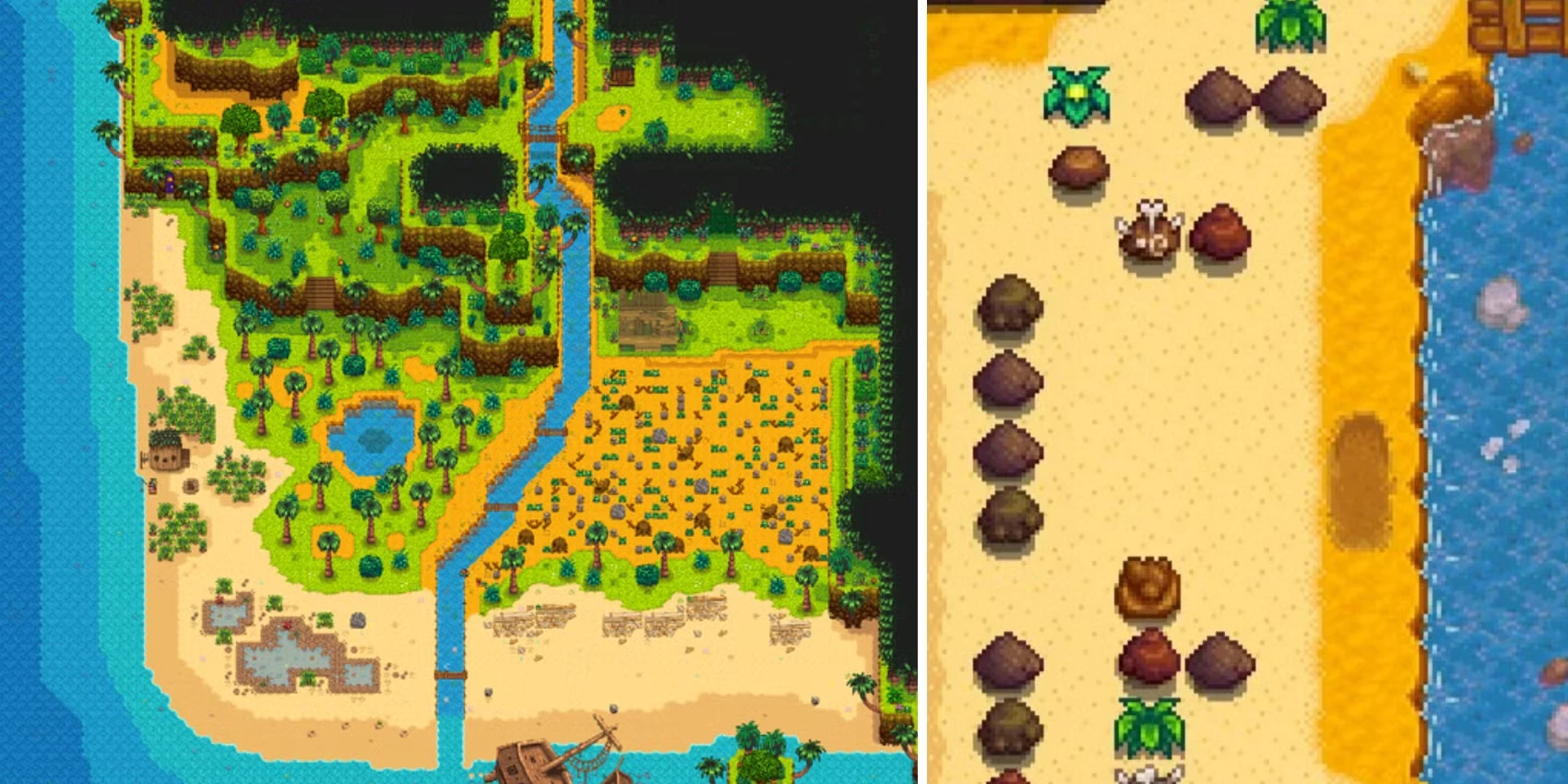 Where To Find Every Ginger Island Fossil In Stardew Valley