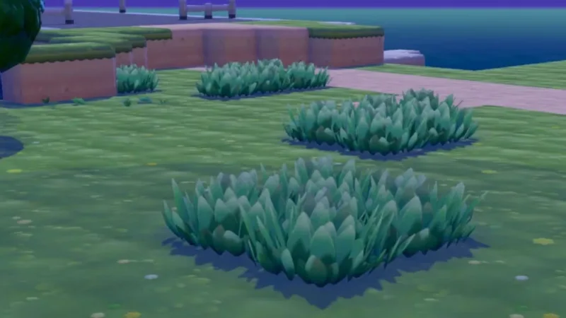 Tudo sobre o habitat Capim Alto em Pokopia