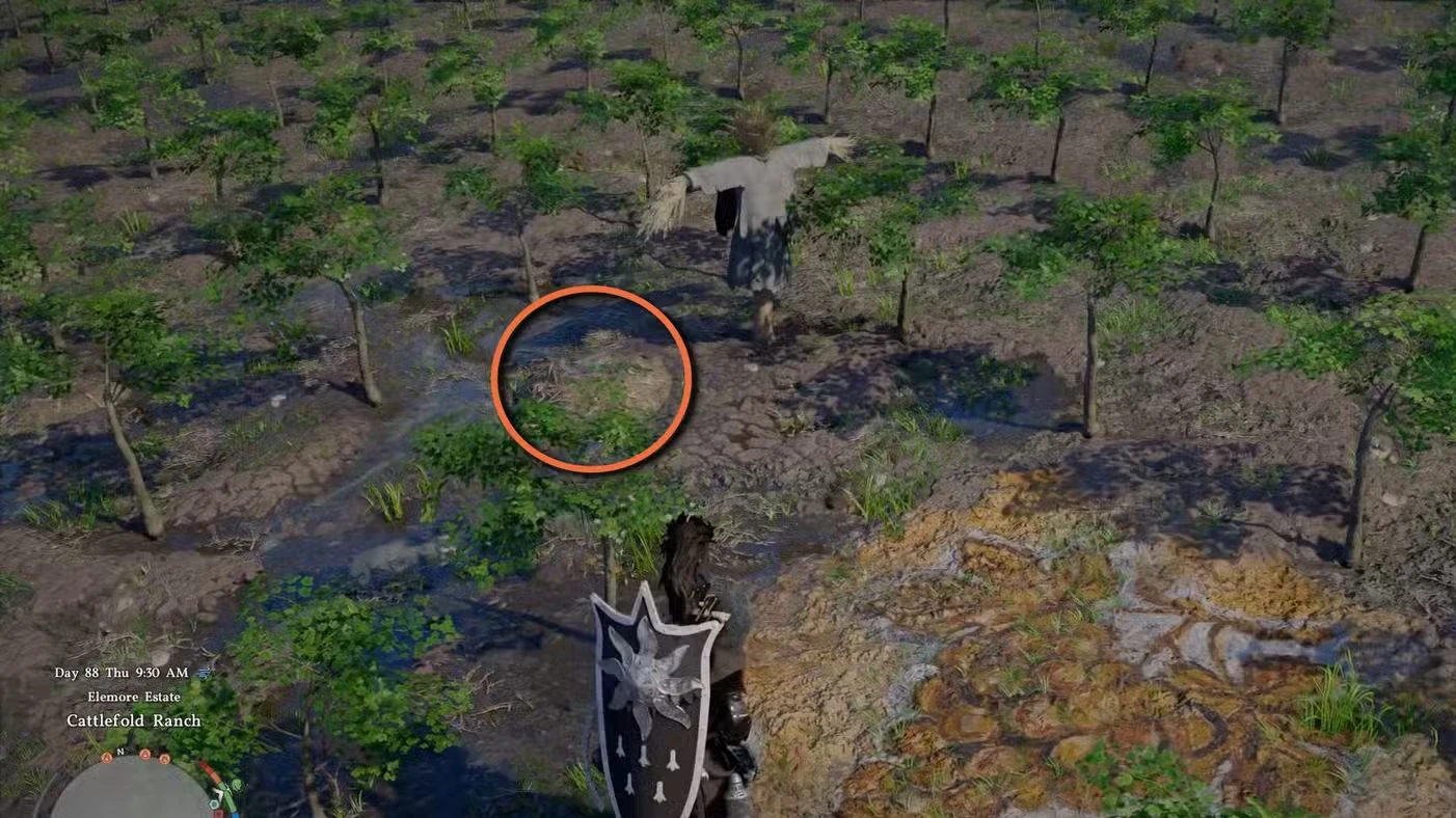 Black Sun Shield Location In Crimson Desert (Buried Treasure Quest)