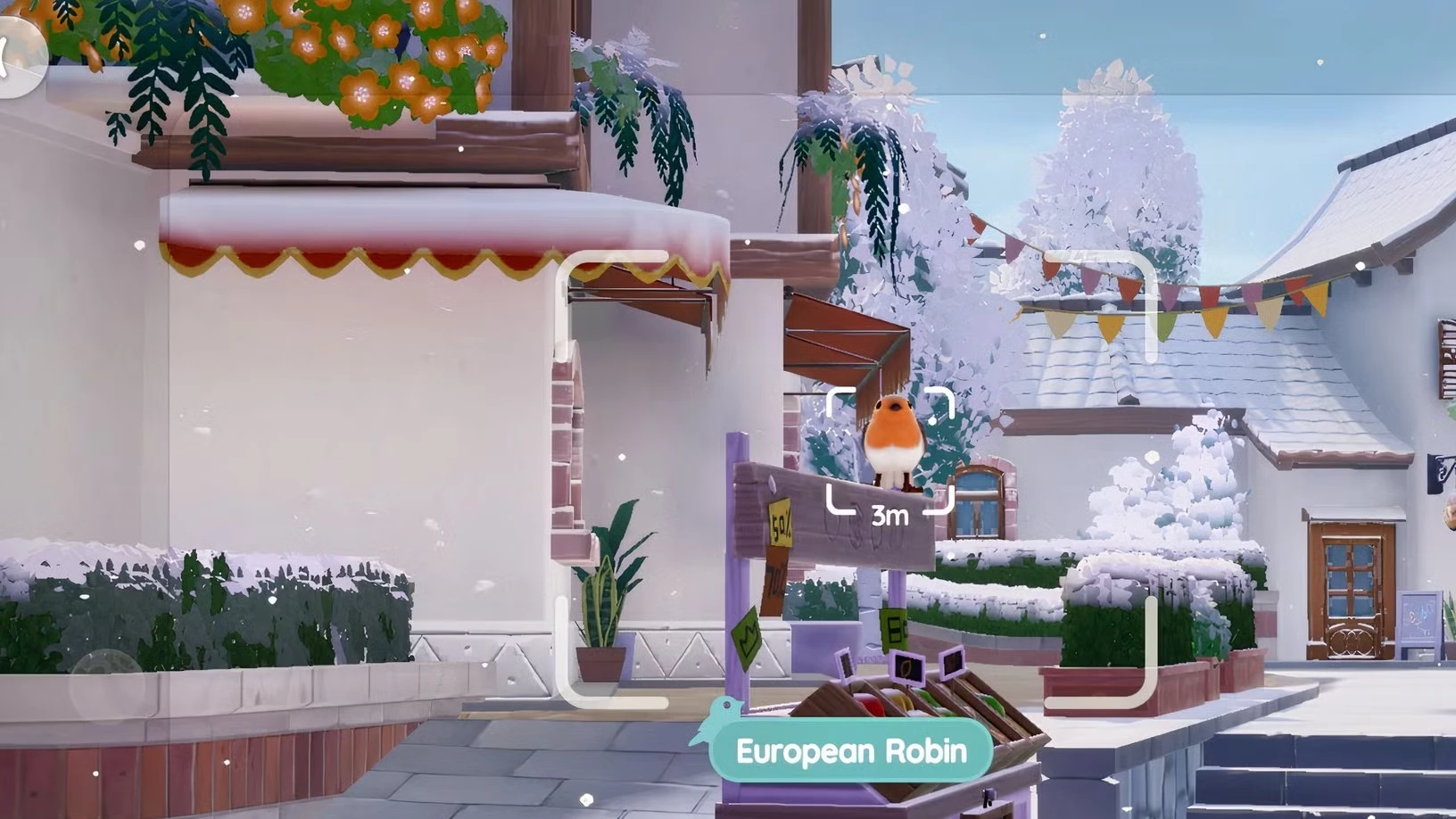 European Robin Location in Heartopia
