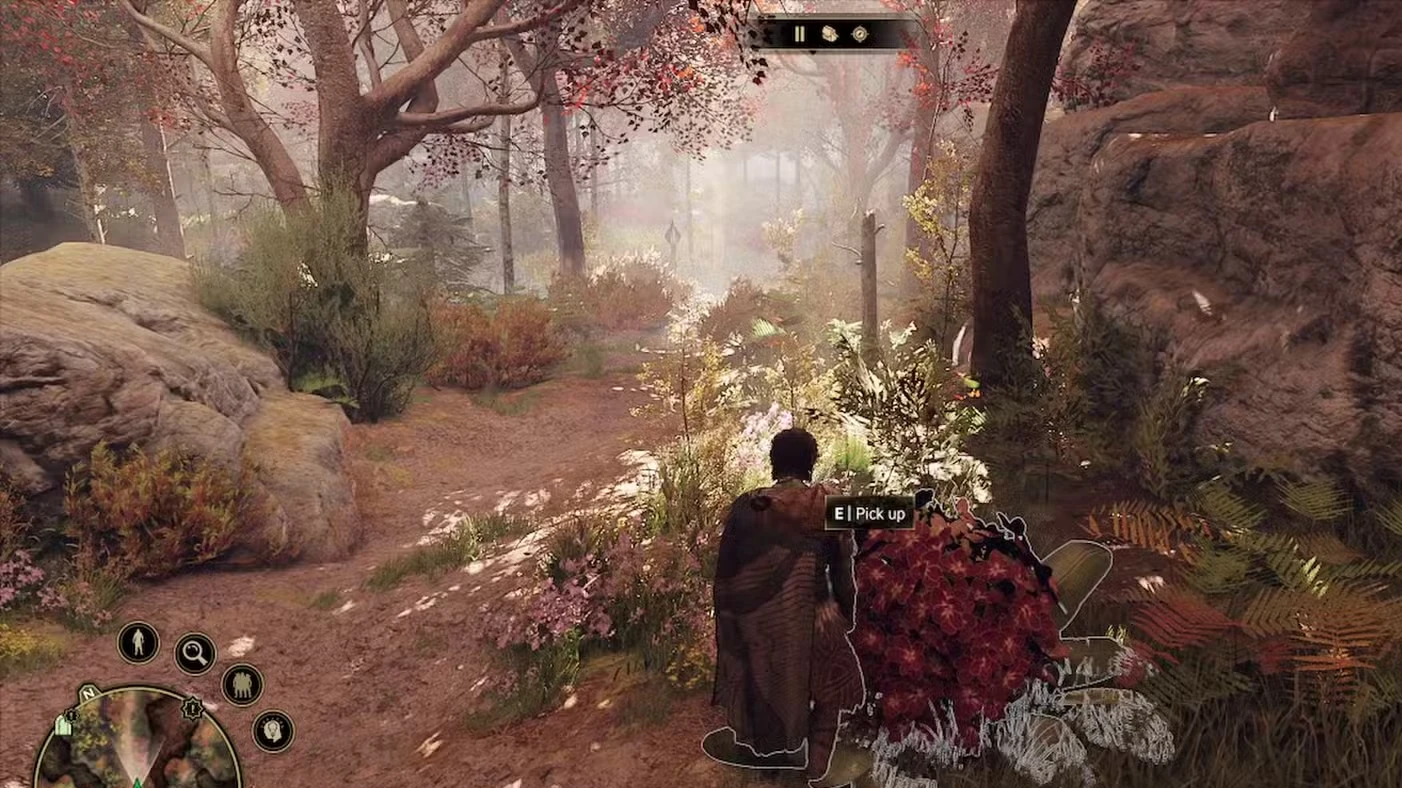 GreedFall 2: A Dying Forest Walkthrough
